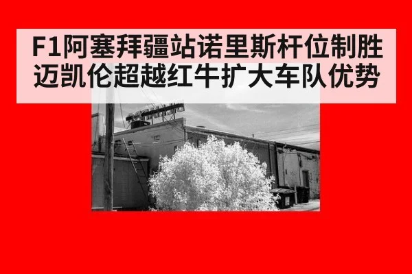 F1阿塞拜疆站诺里斯杆位制胜 迈凯伦超越红牛扩大车队优势