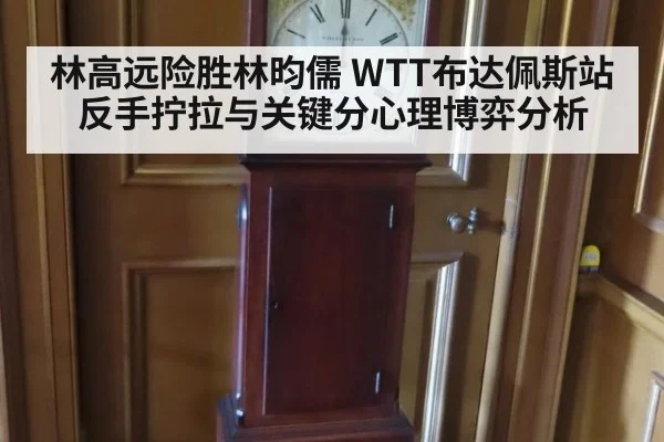 林高远险胜林昀儒 WTT布达佩斯站反手拧拉与关键分心理博弈分析